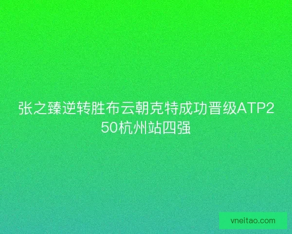 张之臻逆转胜布云朝克特成功晋级ATP250杭州站四强